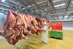 Red meat abattoir